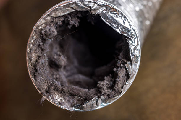 Best Air Vent Cleaning Services  in Oreland, PA